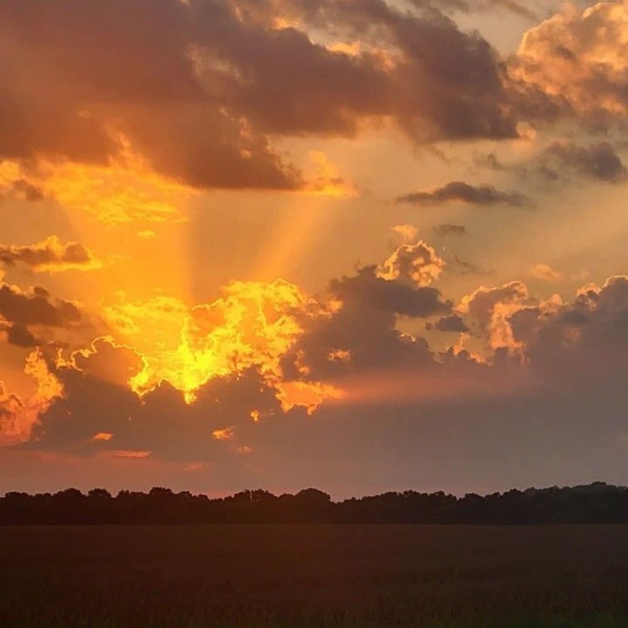 sunsets