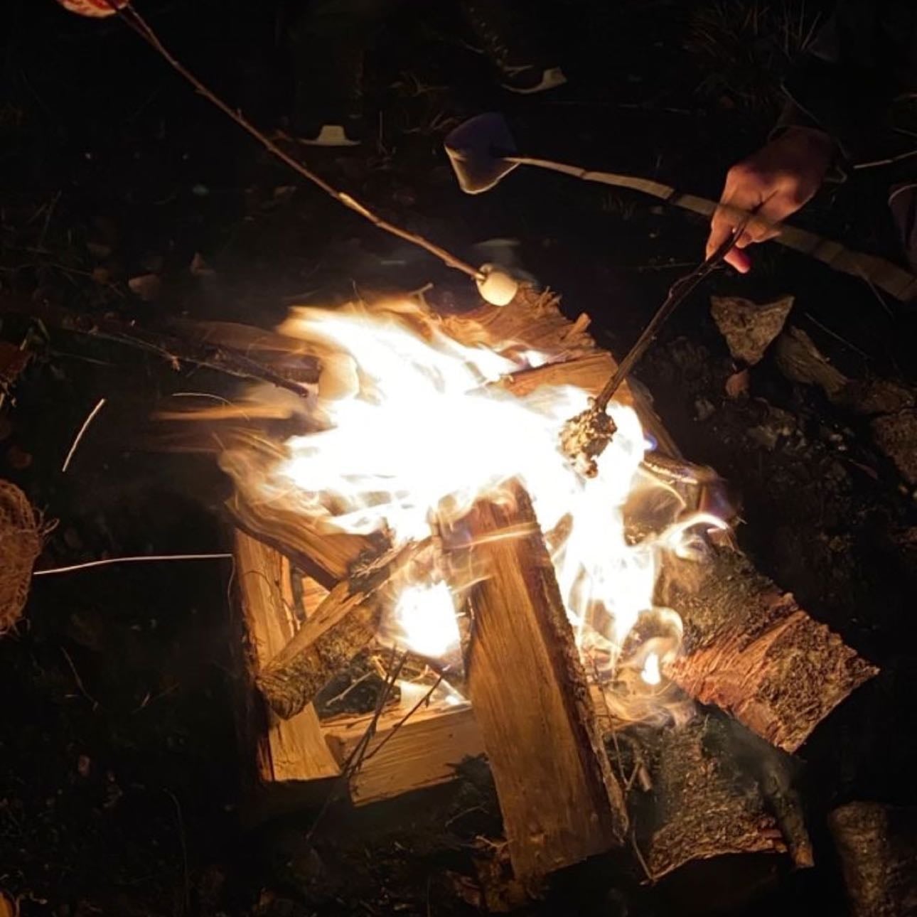 beach fires