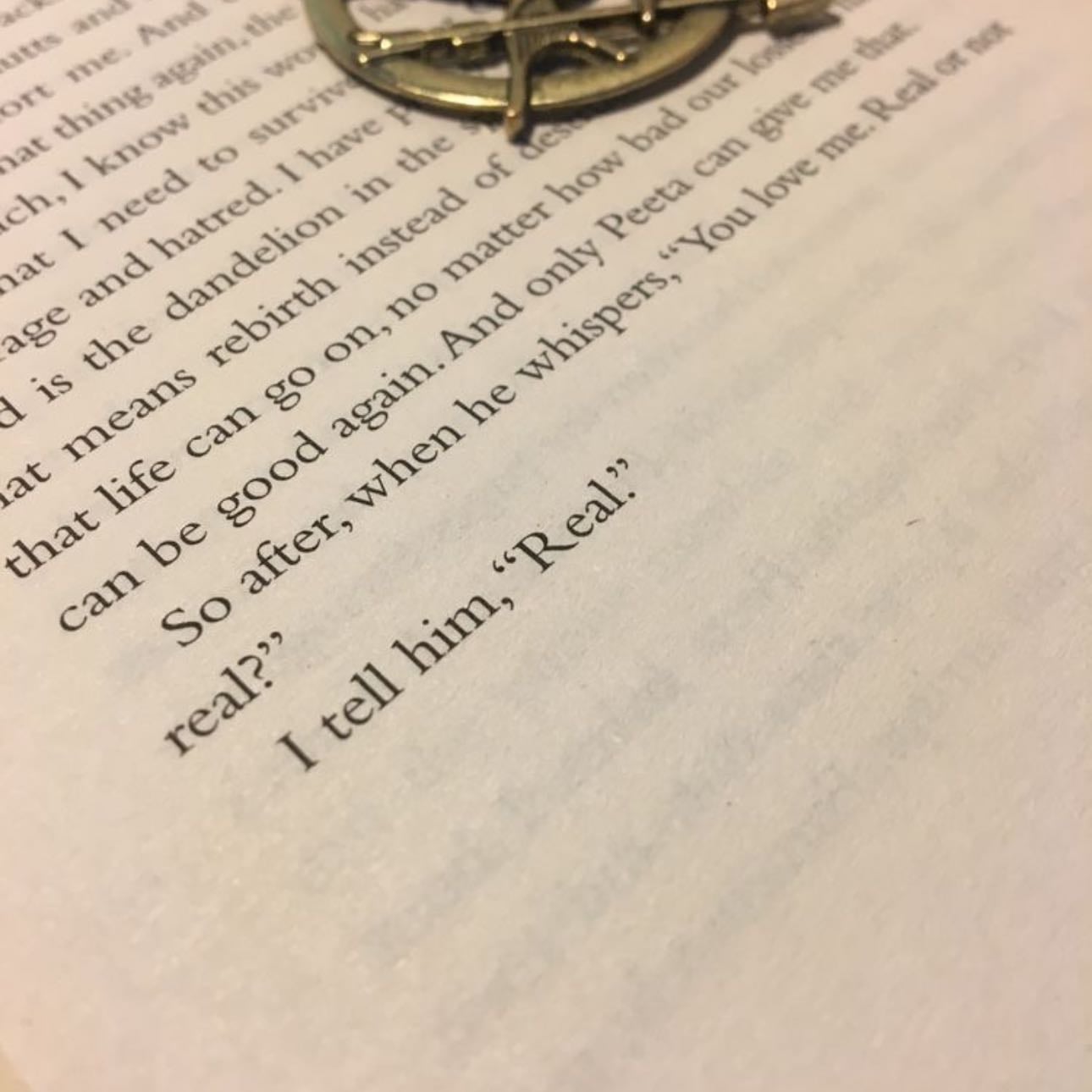 obsessing over the parts of the hunger games that didnt make it into the movies