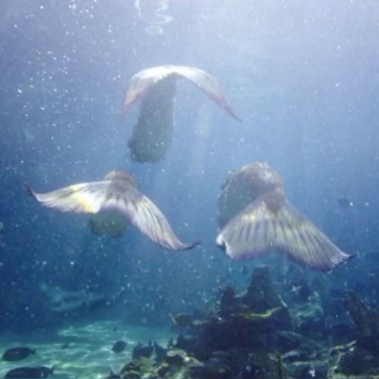 play mermaids