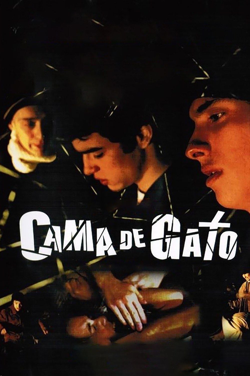 Cat's Cradle - Alexandre Stockler · 2002