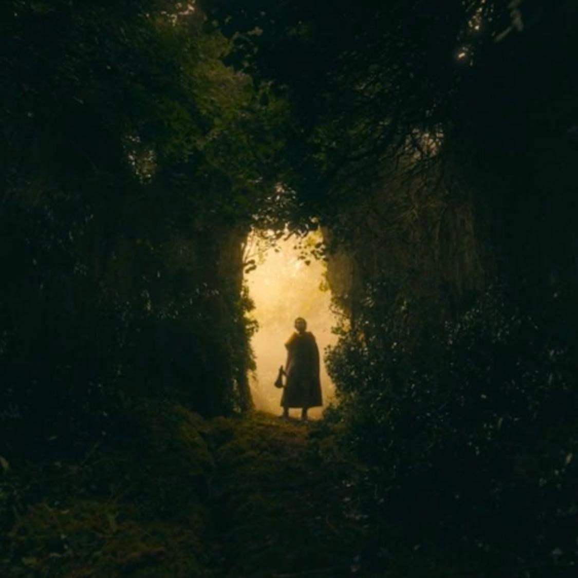 The Green Knight - David Lowery · 2021
