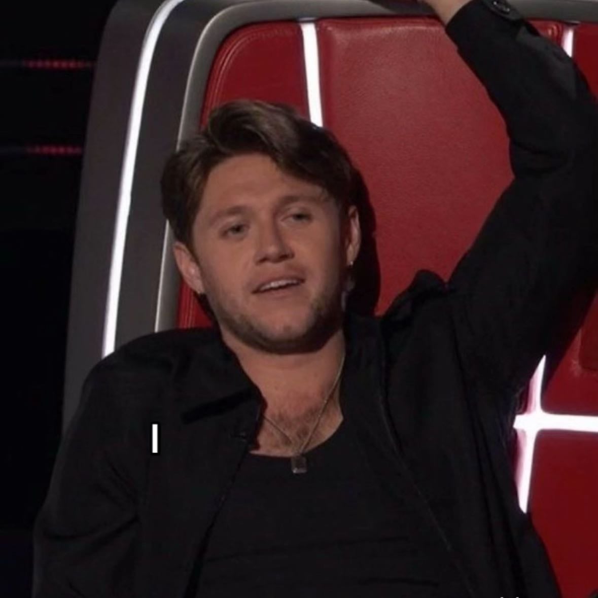 The Voice Niall