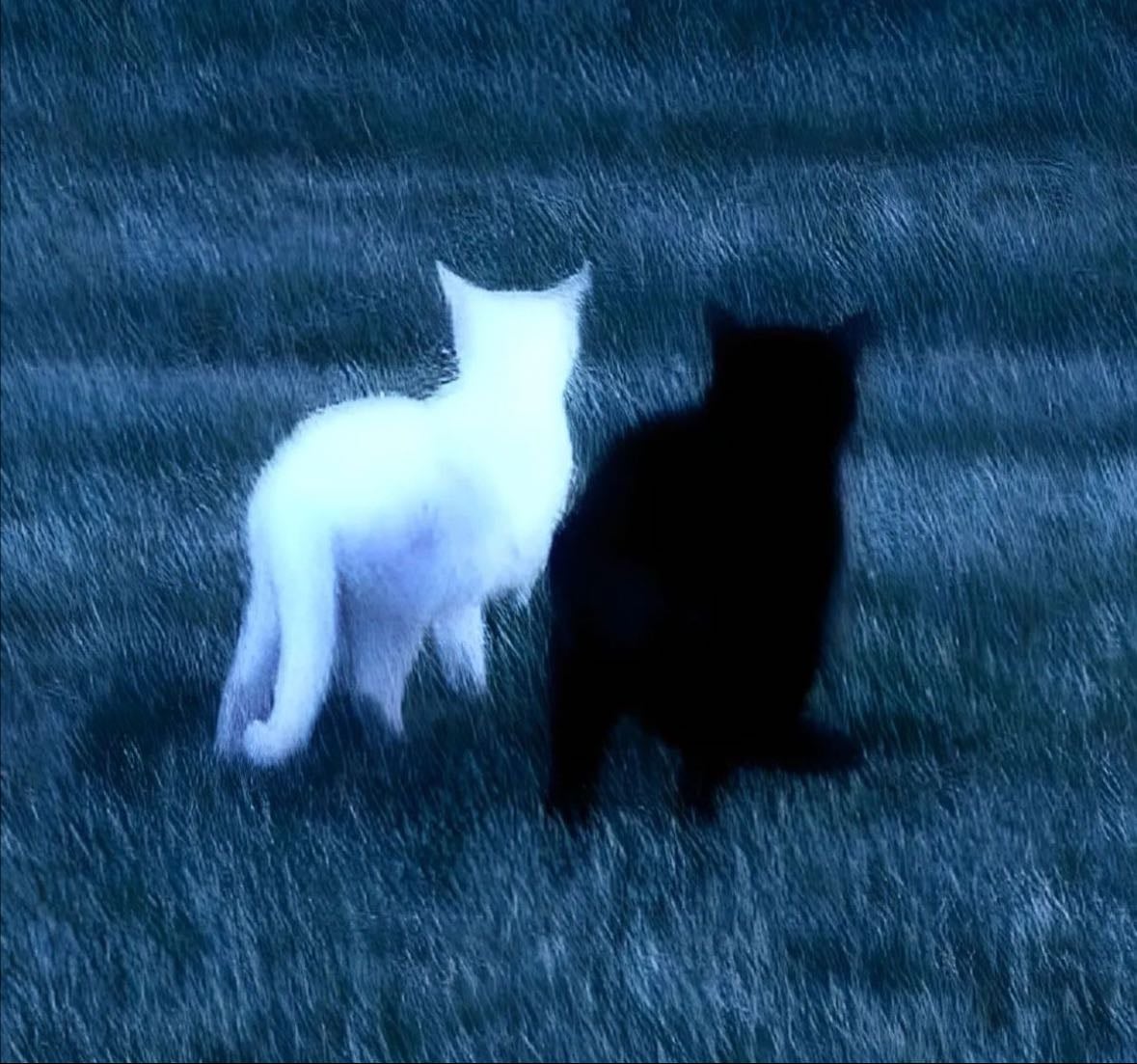 horror/mystery/suspence