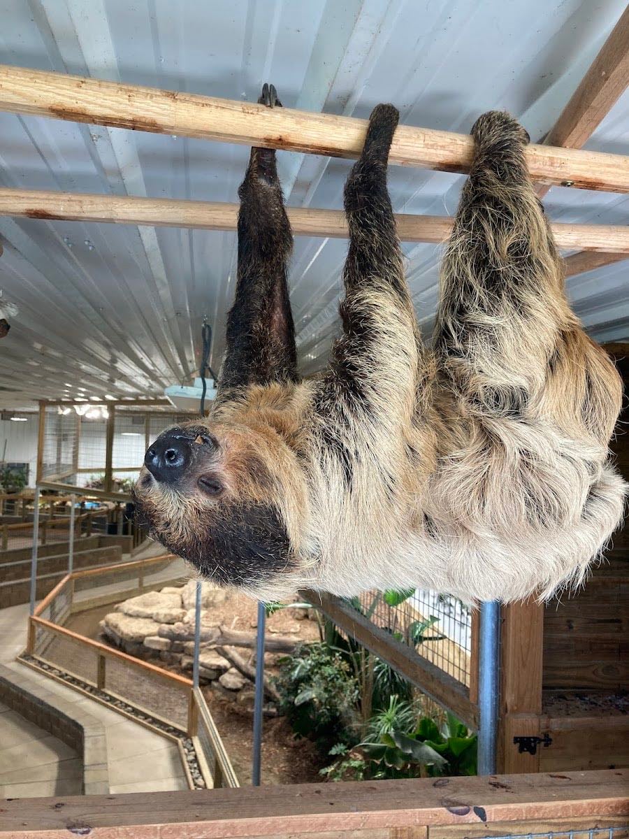 The Creature Conservancy