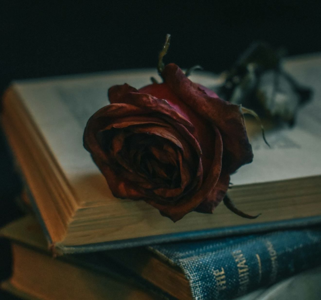 Libros para corazones rotos y solitarios