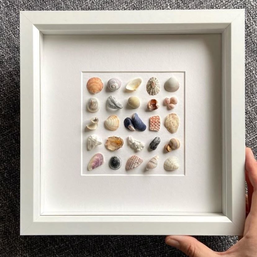 DIY con conchas de mar