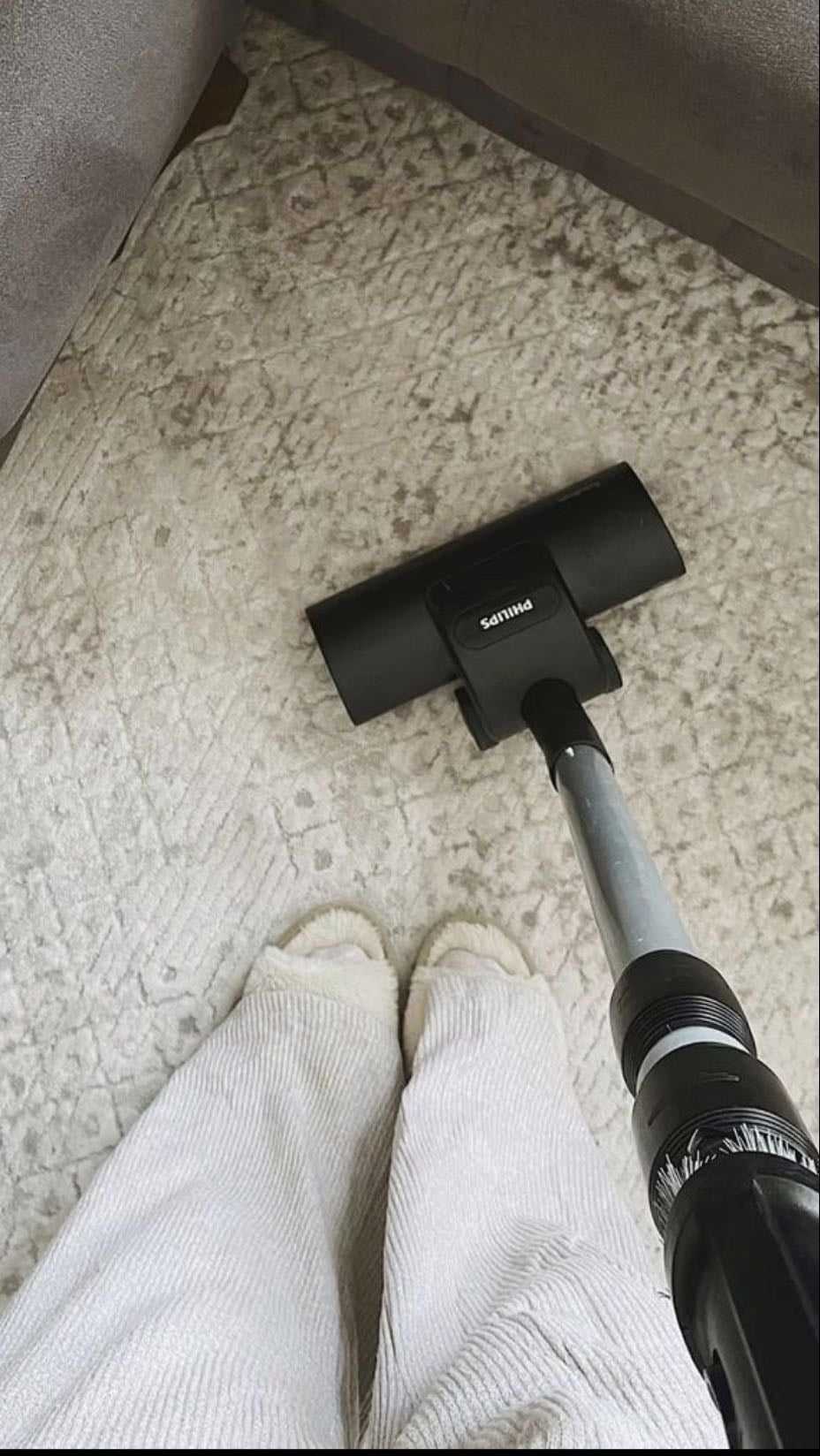 Vacuum - Shredder time (living room only)