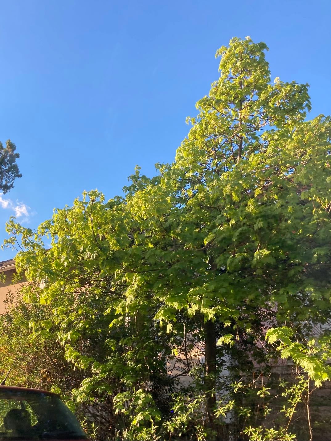 Spring of 24
