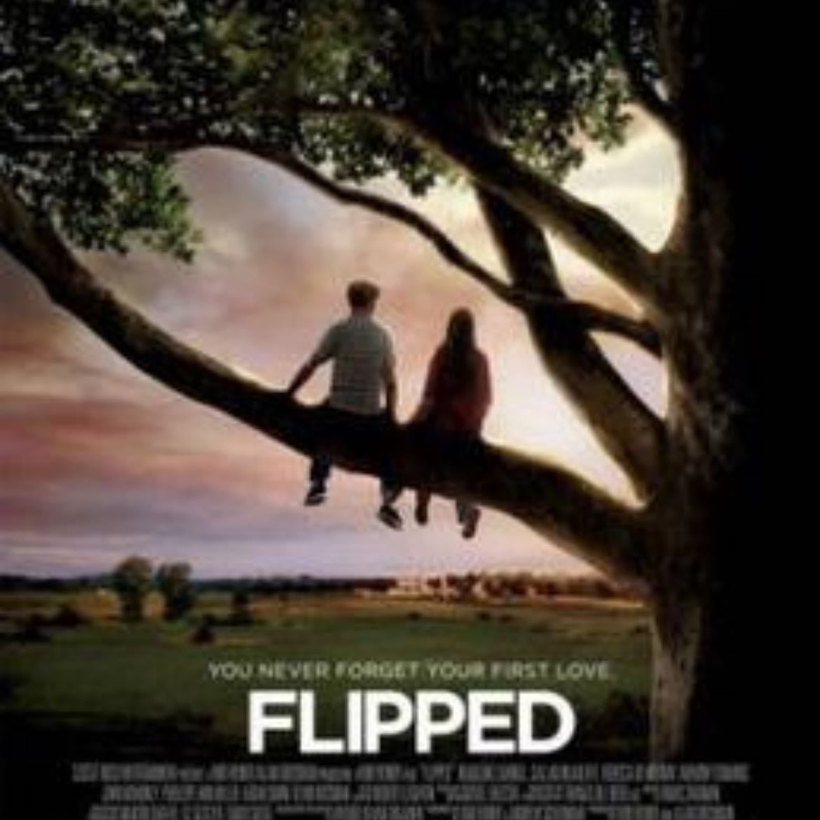 Flipped - Rob Reiner · 2010
