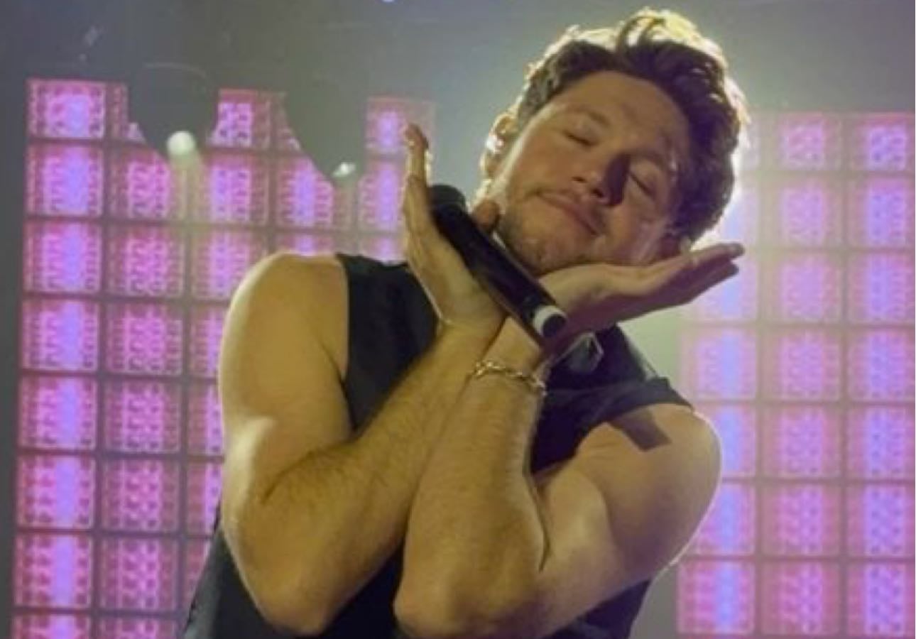 favourite niall songs馃嚠馃嚜