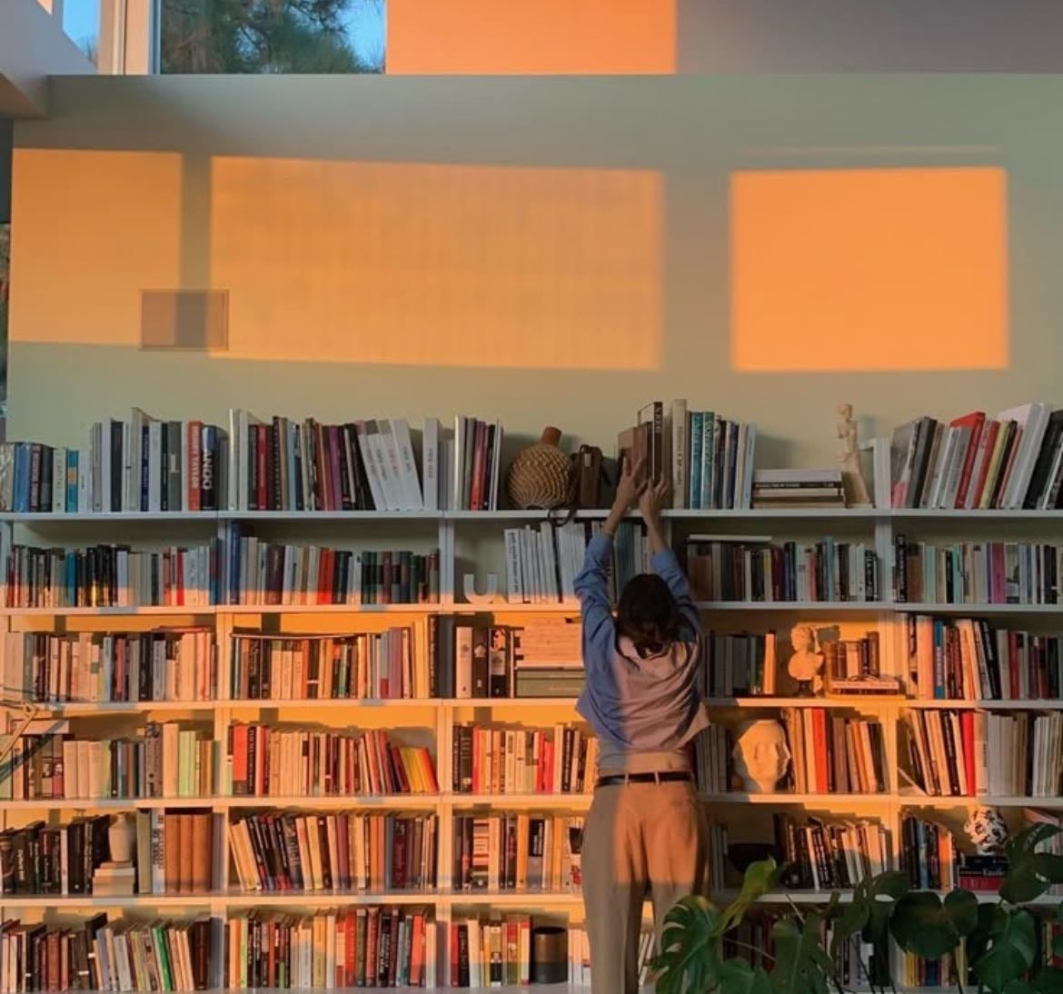my home library