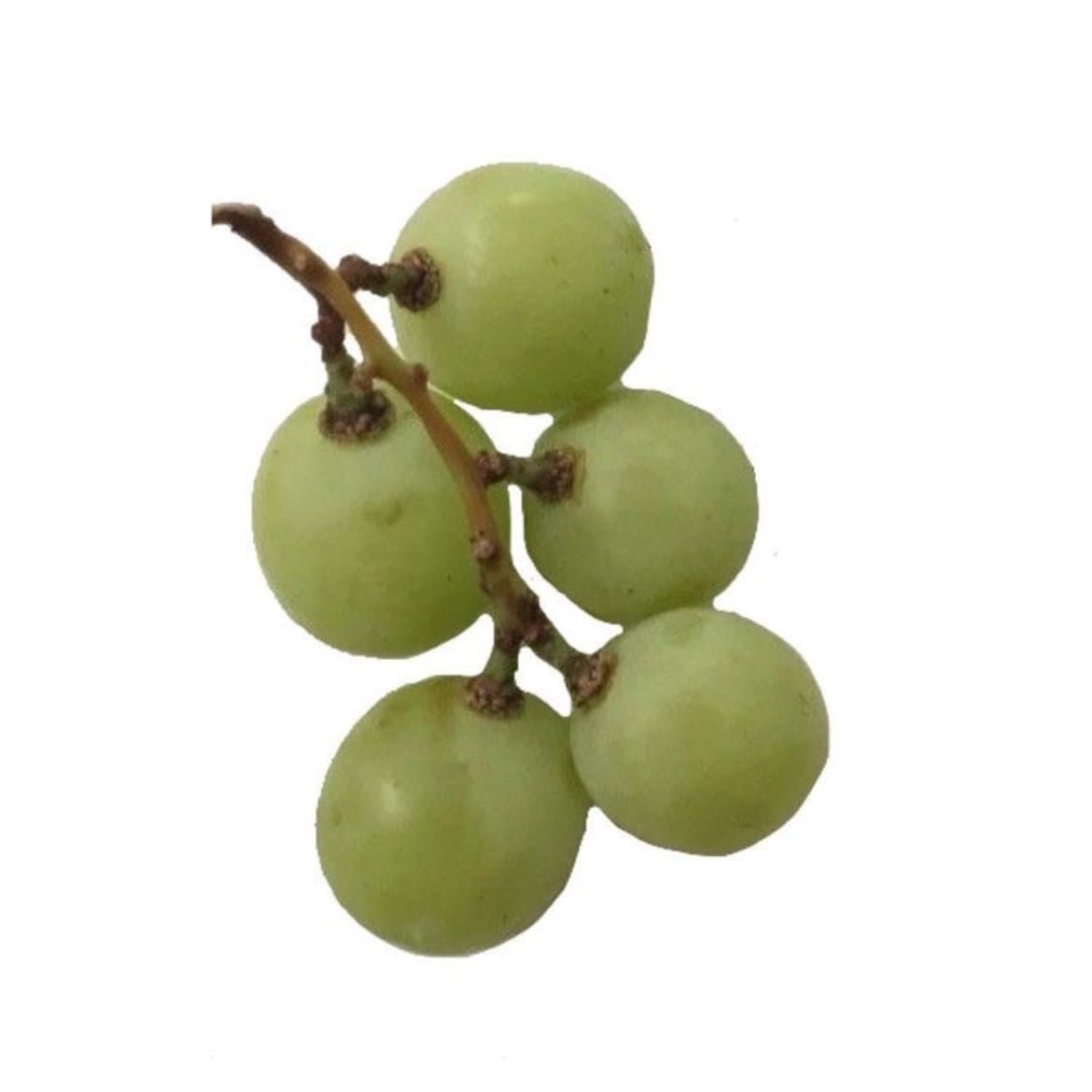 Uvas verdes - 67 kcal