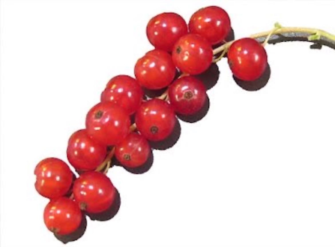 Grosellas - 56 kcal