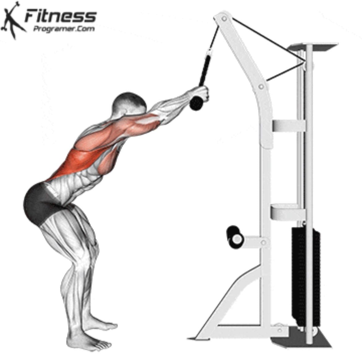 Pulldown - Afina a cintura bbs