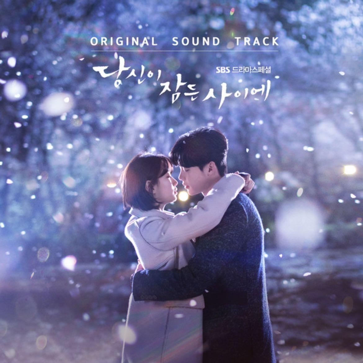 While You Were Sleeping - Episodios 2011