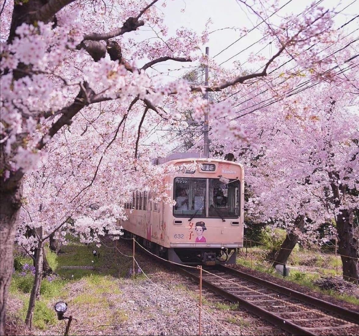 Travel Bucketlist