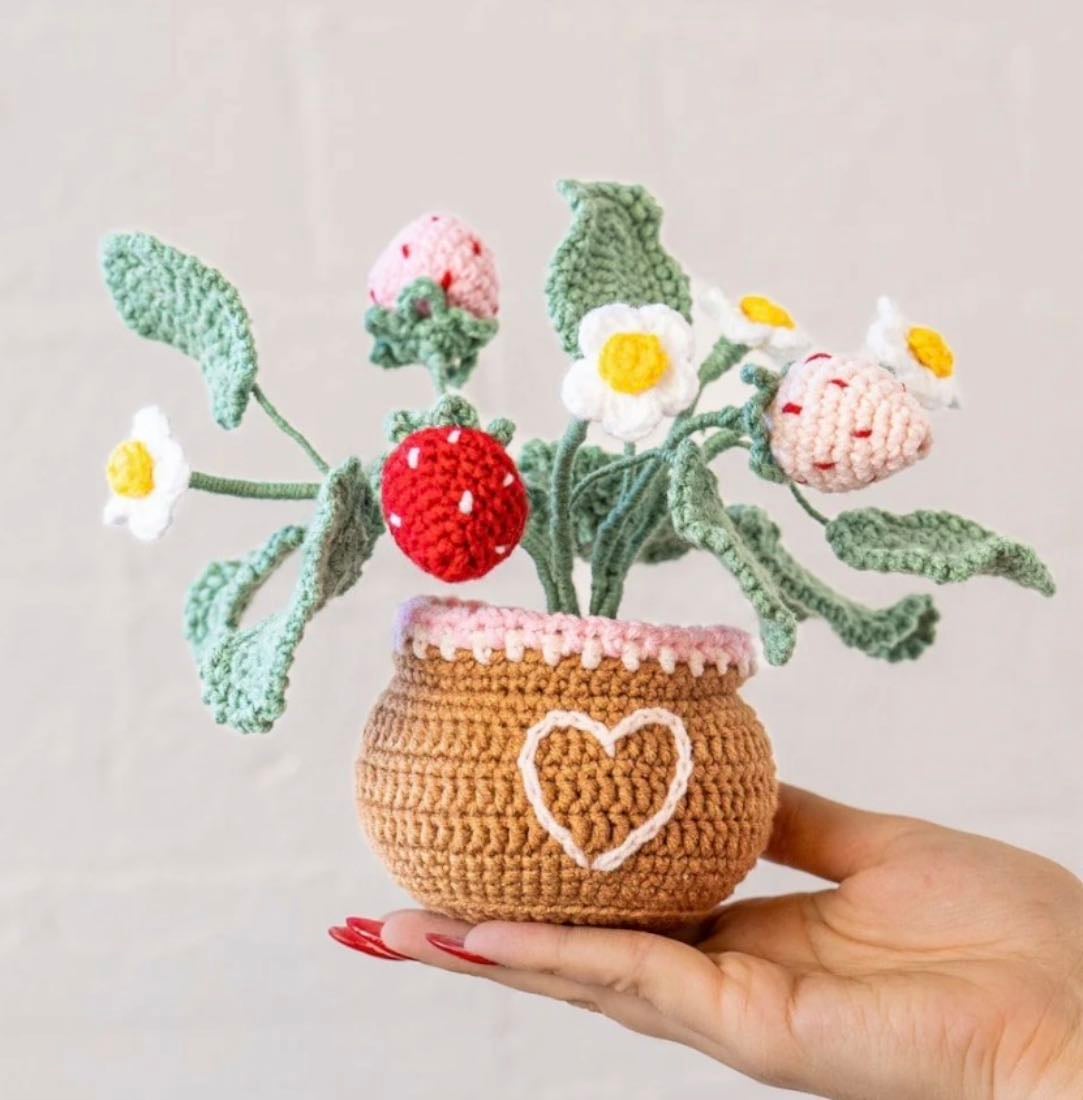 Strawberry pot crochet kit - Craft Club Co