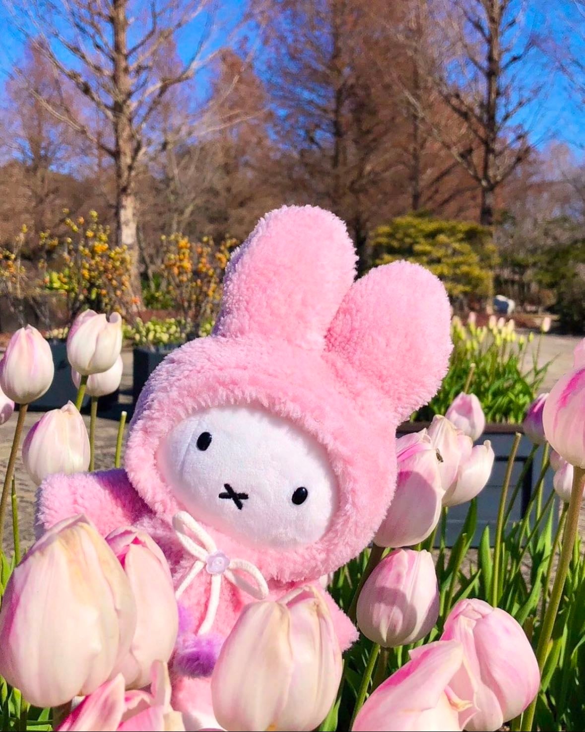Miffy