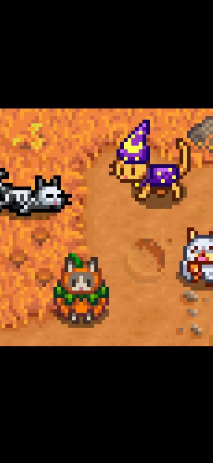 Spooky Cat Costumes - elithebookworm