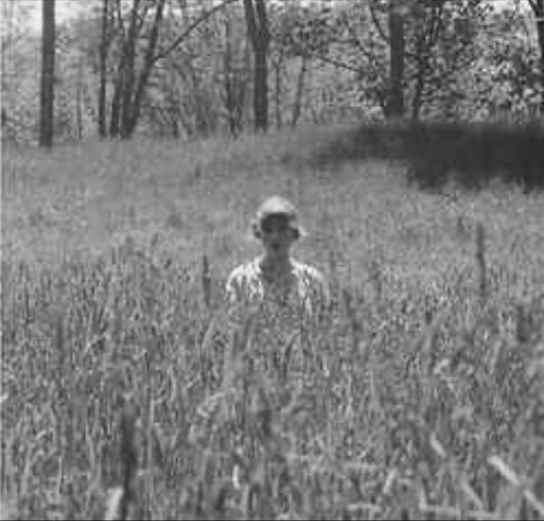 folklore - In the Weeds Deluxe Edition