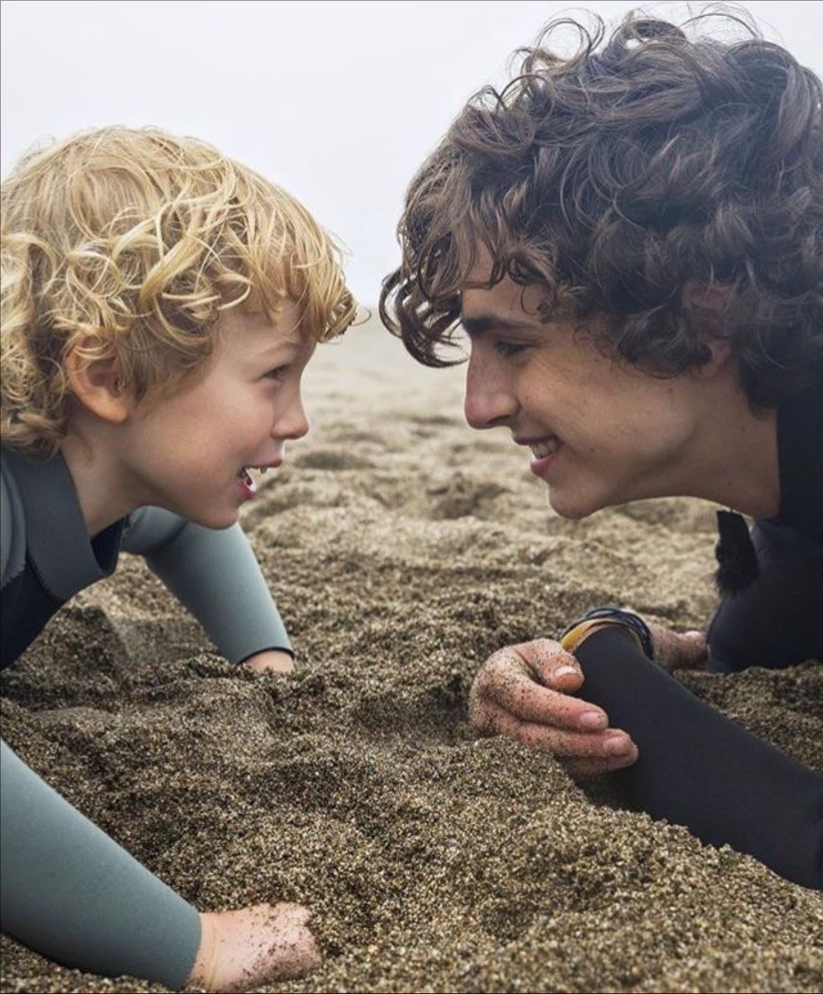 Beautiful Boy - 2018