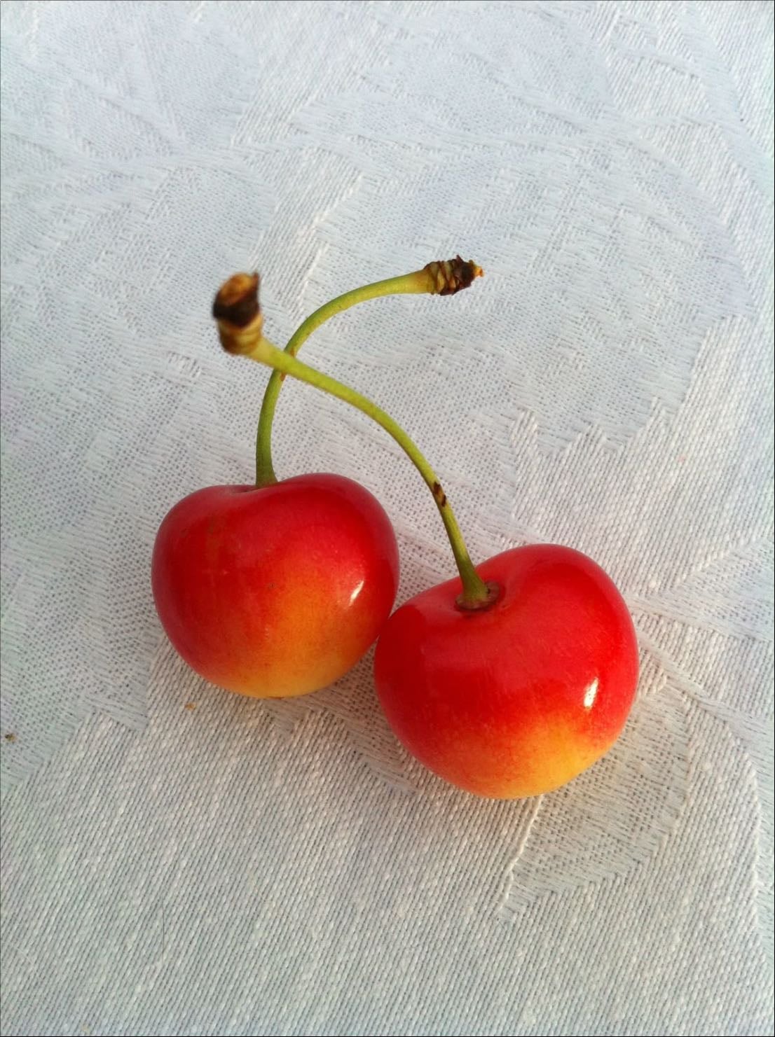 Cherries