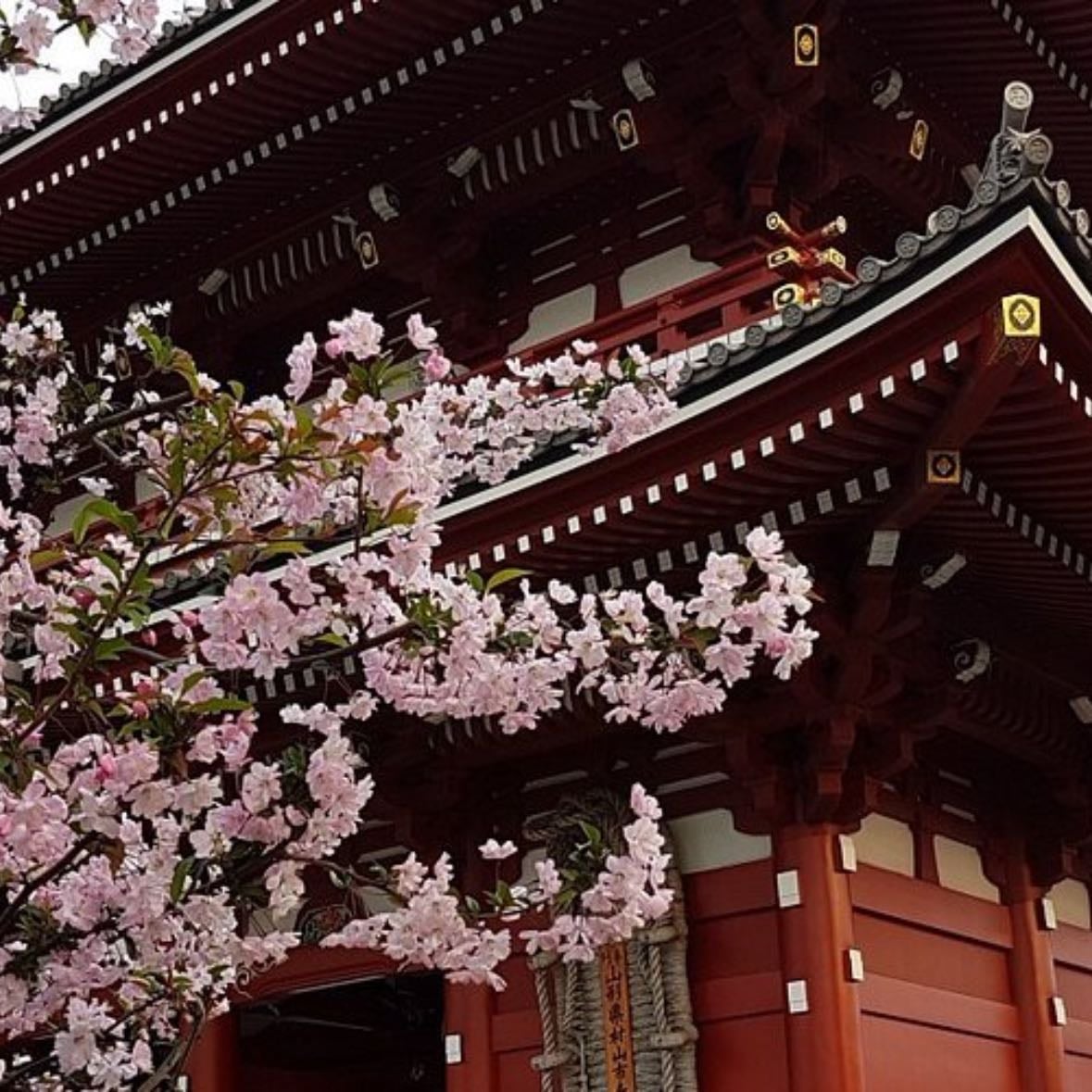 Kaminari mon - temple with flea market