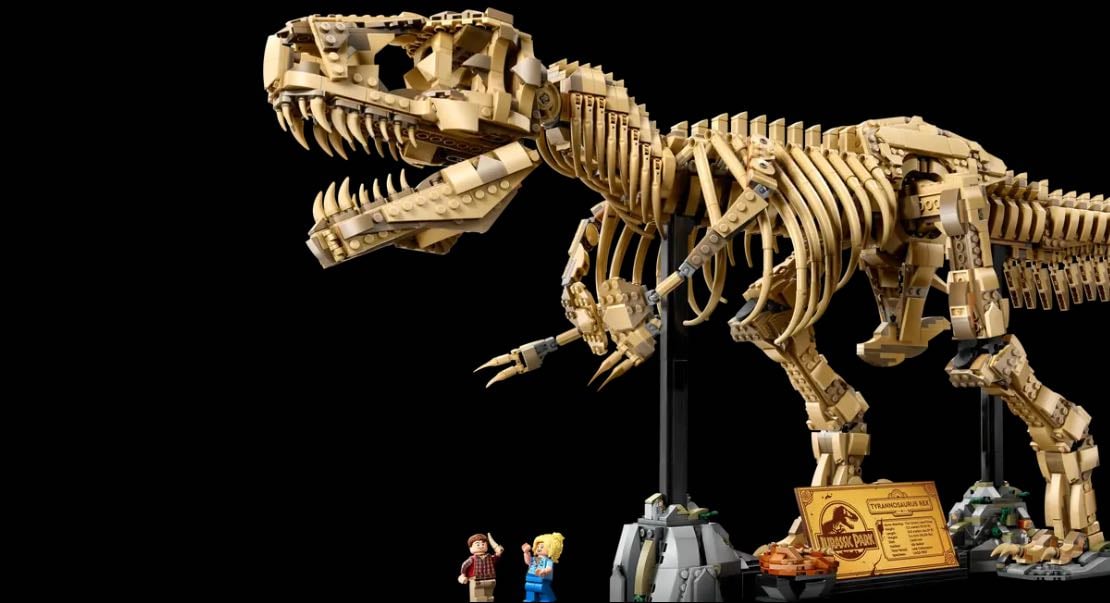 dinosaur fossils: trex - $369.90
