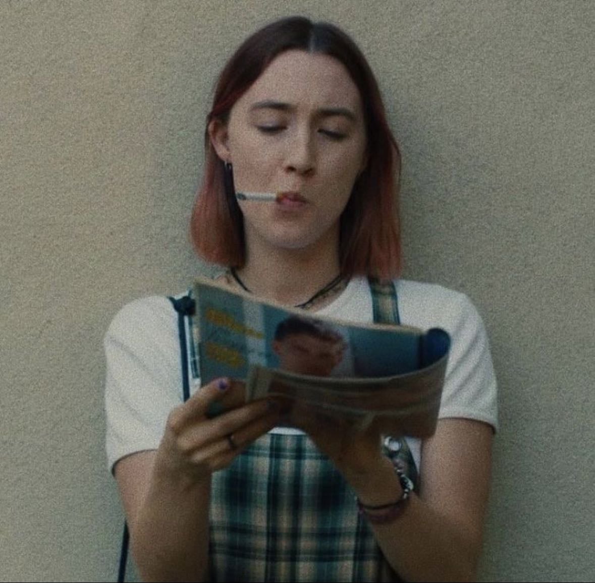 ladybird - ladybird