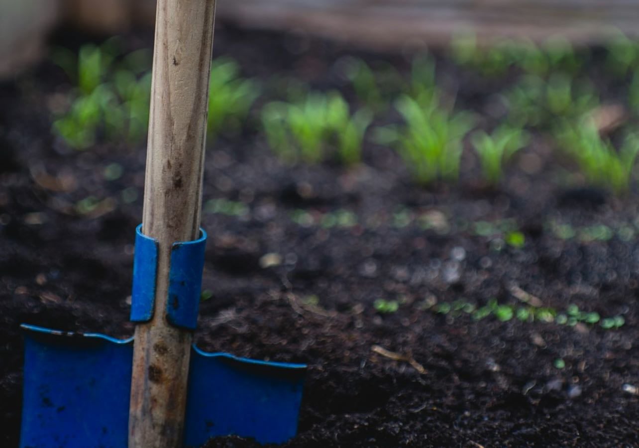 crops i want to plant in my balcony - other hypelist by Monse Cortez
