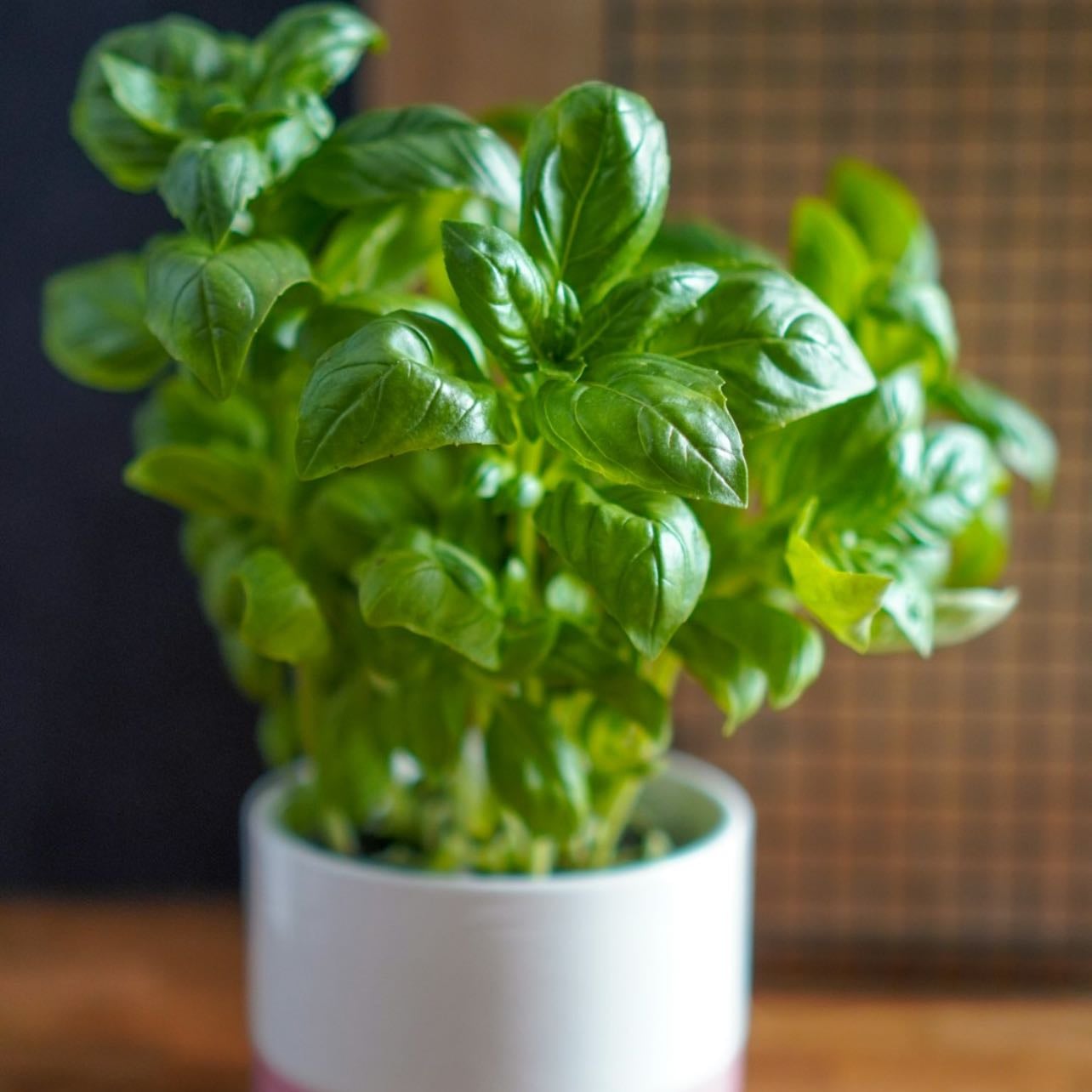 basil