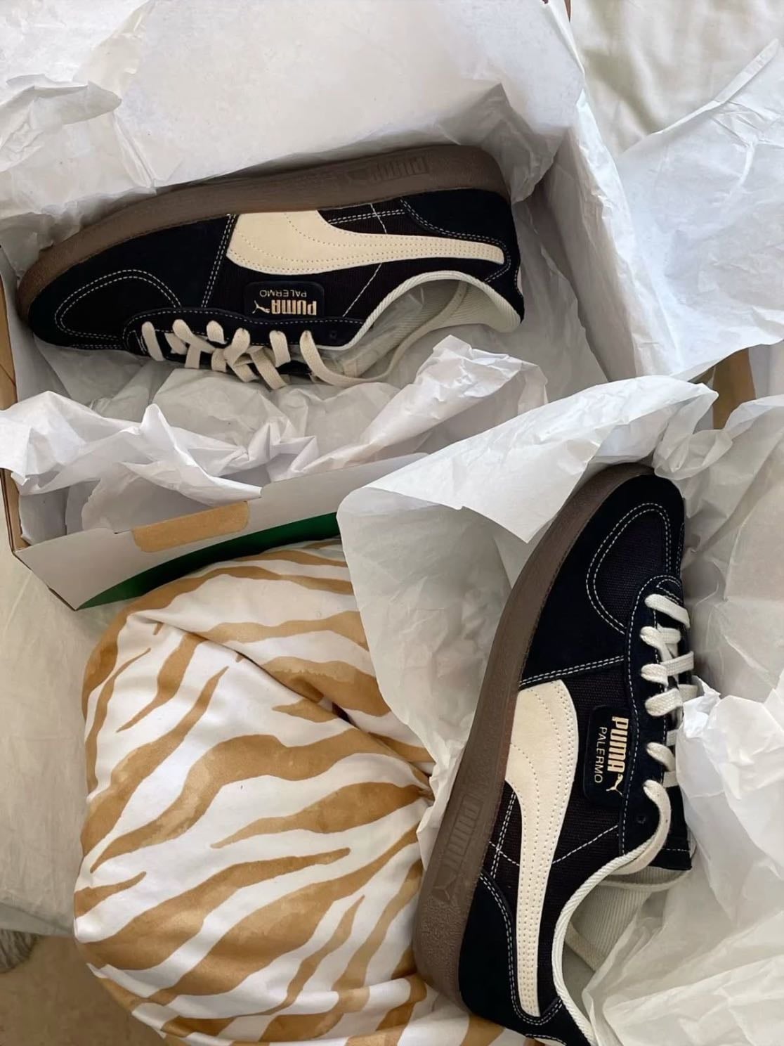 Puma palermo