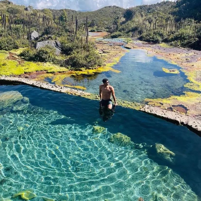 Termales de la Cabaña - Realizas una caminata de aproximadamente 2 horas recorriendo valle de frailejones , avistamiento de aves y aguas termales