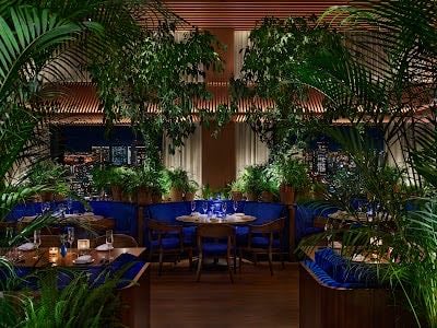 the blue room tokyo
