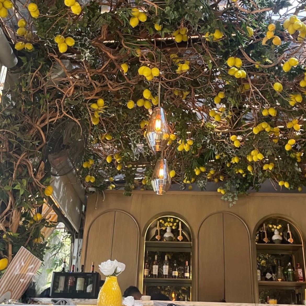 Mandolina Polanco