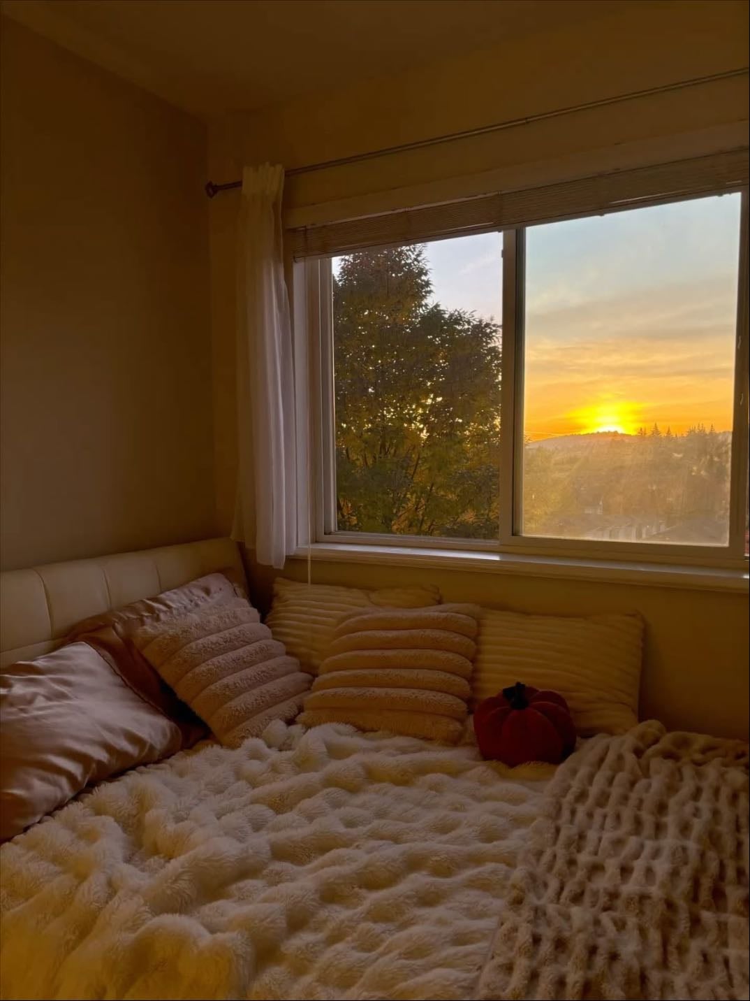 my bed