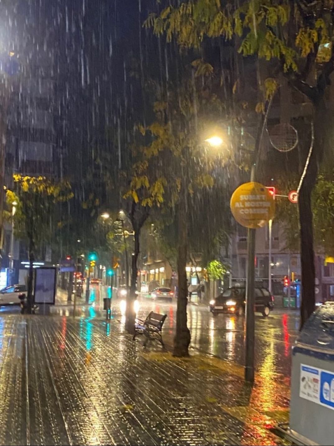 rain