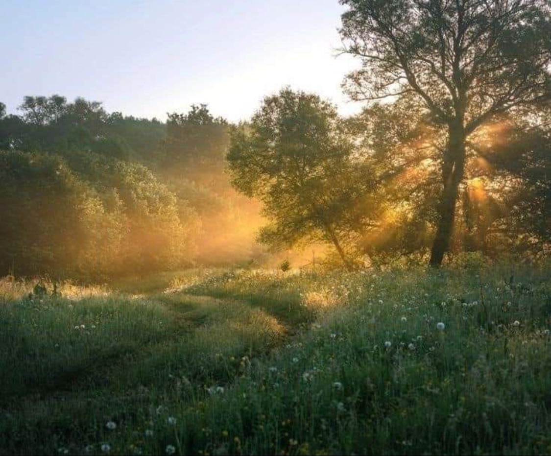 spring