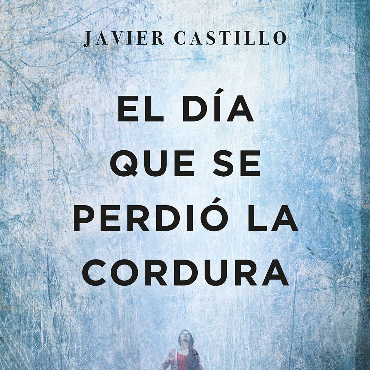 El día que se perdió la cordura - Javier Castillo •