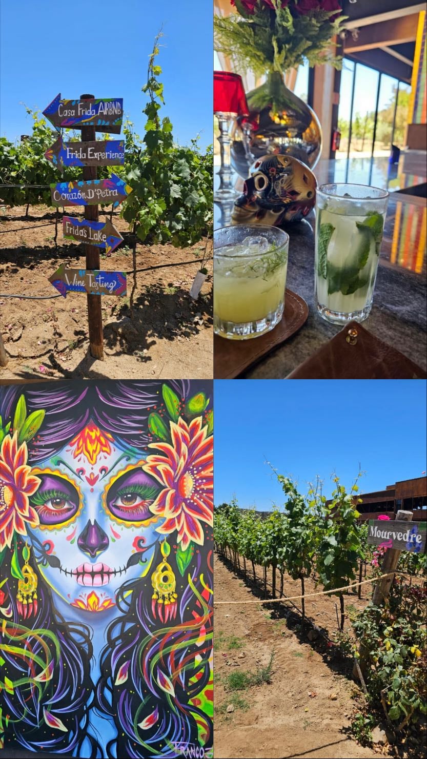 Casa Frida VDG