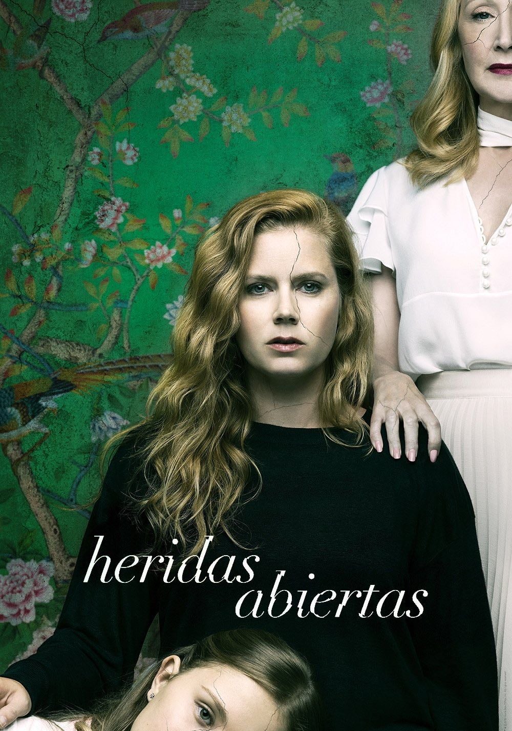 Heridas abiertas - 1 temporada • 2018
(1📚)