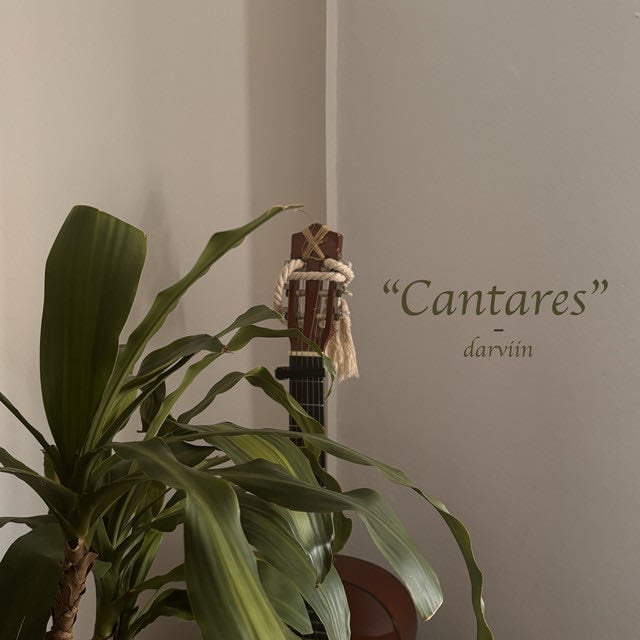 Cantares - Album · Darviin