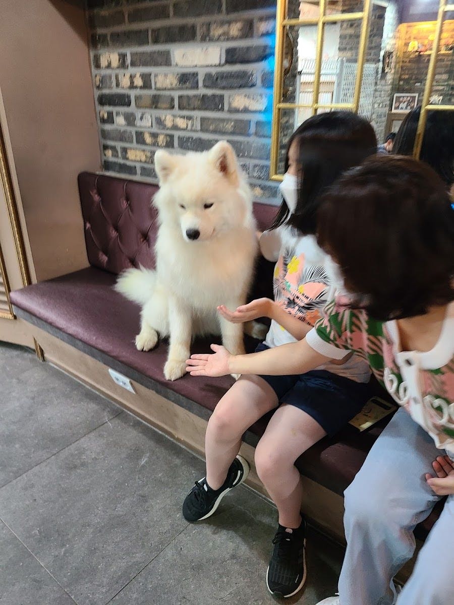 OFD STUDIO - 오에프디 댄스 학원