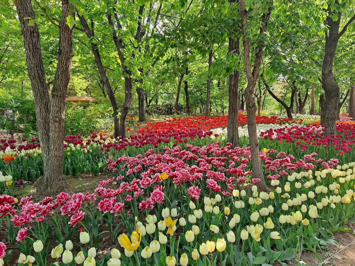 Seoul Forest