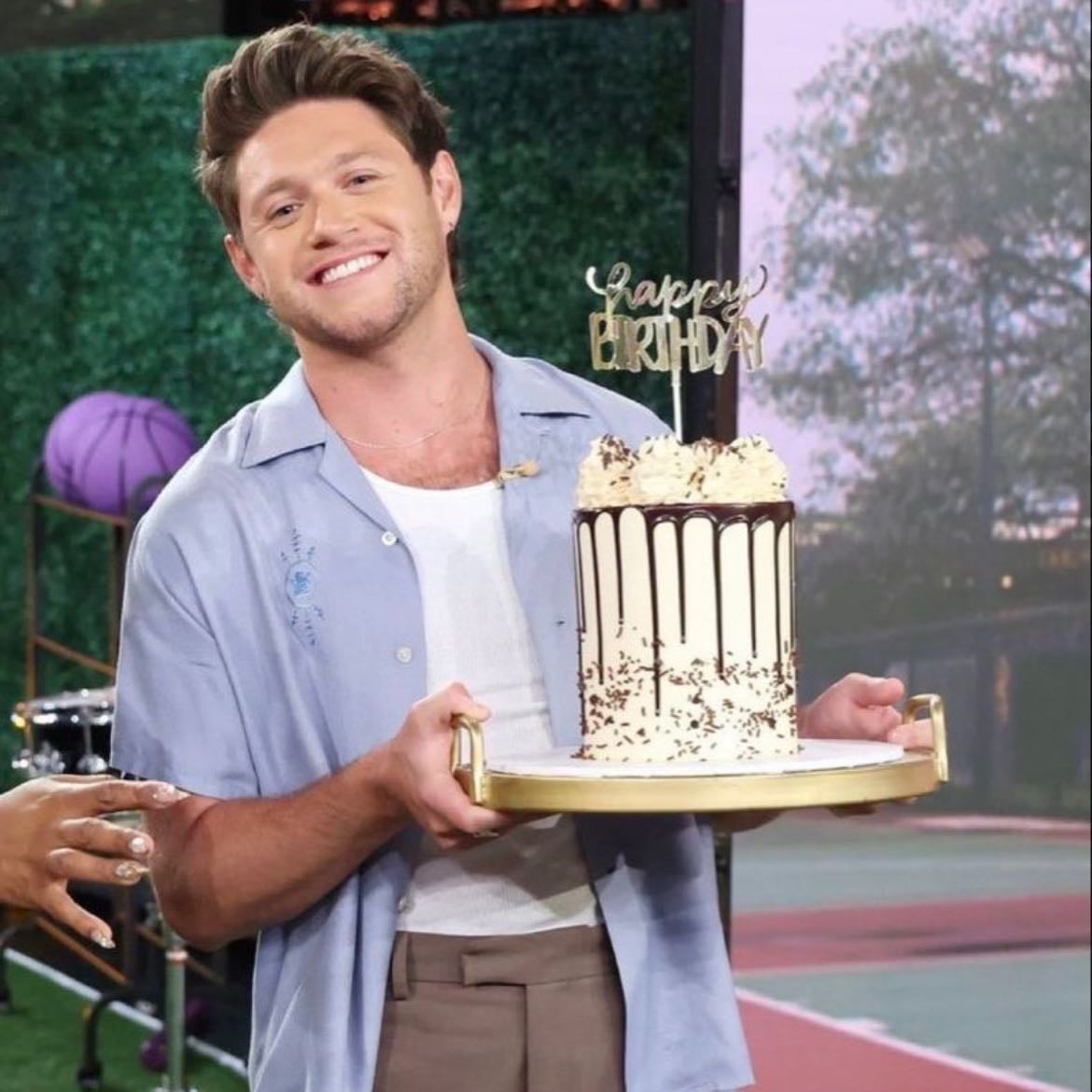 Champagne lovers - Niall horan- unreleased