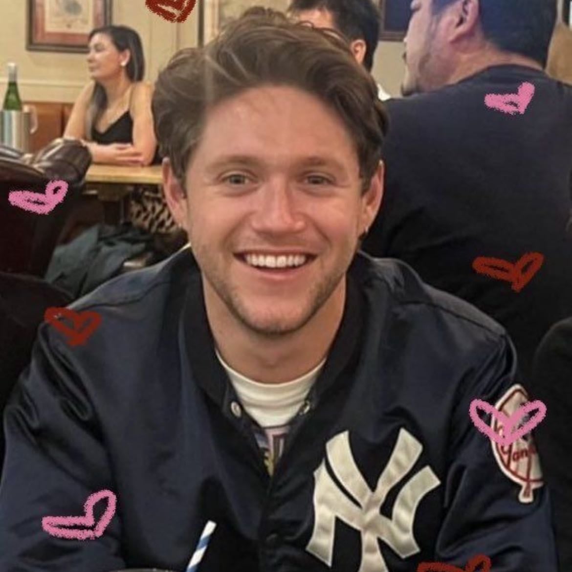 Wasted - Niall horan- unreleased