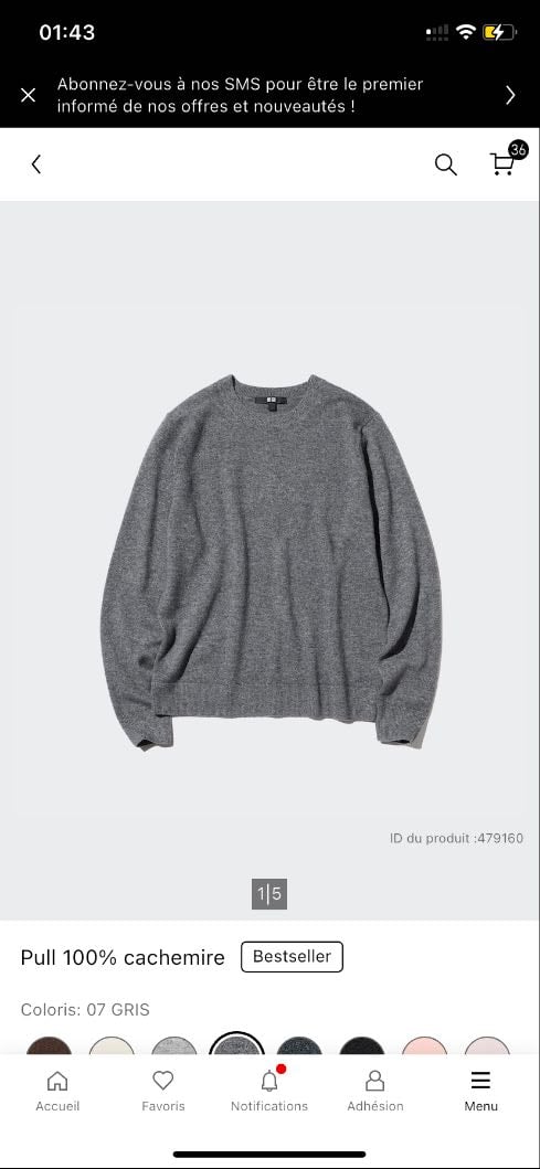 Pull 100% cachemire Gris - 89.90€