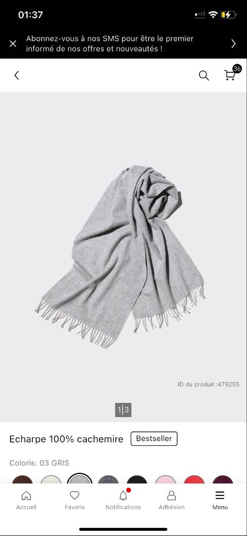 Echarpe 100% cachemire Gris - 59.90€