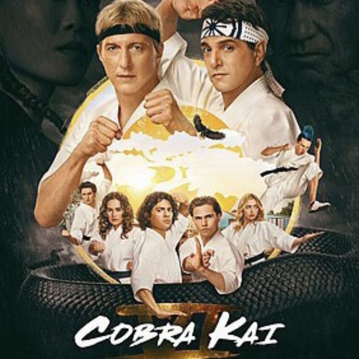 Cobra Kai - Jon Hurwitz, Hayden Schlossberg, Josh Heald · 2018
